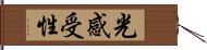 光感受性 Hand Scroll