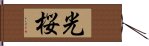 光桜 Hand Scroll