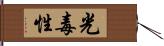 光毒性 Hand Scroll