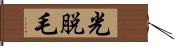 光脱毛 Hand Scroll