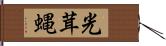 光茸蝿 Hand Scroll