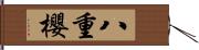 八重櫻 Hand Scroll