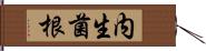 内生菌根 Hand Scroll