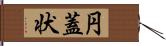 円蓋状 Hand Scroll