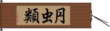 円虫類 Hand Scroll