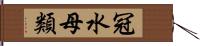 冠水母類 Hand Scroll