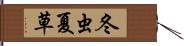 冬虫夏草 Hand Scroll