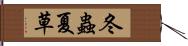 冬蟲夏草 Hand Scroll