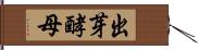 出芽酵母 Hand Scroll