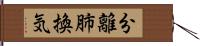 分離肺換気 Hand Scroll