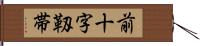 前十字靱帯 Hand Scroll