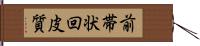 前帯状回皮質 Hand Scroll