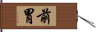 前胃 Hand Scroll