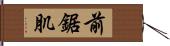 前鋸肌 Hand Scroll