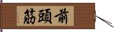 前頭筋 Hand Scroll