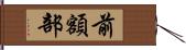 前額部 Hand Scroll