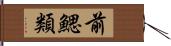 前鰓類 Hand Scroll