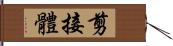 剪接體 Hand Scroll