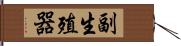 副生殖器 Hand Scroll