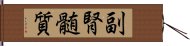 副腎髄質 Hand Scroll