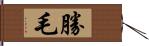 勝毛 Hand Scroll