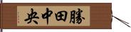 勝田中央 Hand Scroll