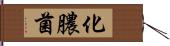 化膿菌 Hand Scroll