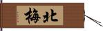 北梅 Hand Scroll