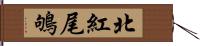 北紅尾鴝 Hand Scroll