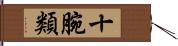 十腕類 Hand Scroll