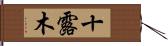 十露木 Hand Scroll