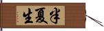 半夏生 Hand Scroll