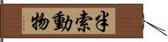 半索動物 Hand Scroll