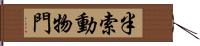 半索動物門 Hand Scroll