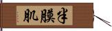 半膜肌 Hand Scroll