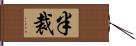 半裁 Hand Scroll