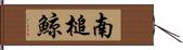 南槌鯨 Hand Scroll