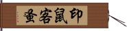 印鼠客蚤 Hand Scroll