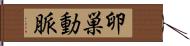 卵巣動脈 Hand Scroll