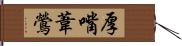 厚嘴葦鶯 Hand Scroll