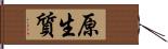 原生質 Hand Scroll