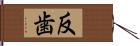 反歯 Hand Scroll