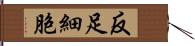 反足細胞 Hand Scroll