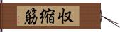 収縮筋 Hand Scroll