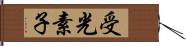受光素子 Hand Scroll