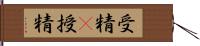 受精(P) Hand Scroll