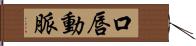 口唇動脈 Hand Scroll