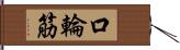 口輪筋 Hand Scroll