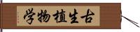 古生植物学 Hand Scroll