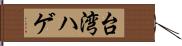 台湾ハゲ Hand Scroll